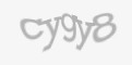 Защитный код